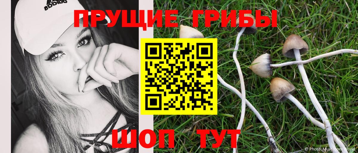 Псилоцибиновые грибы Cubensis Керчь