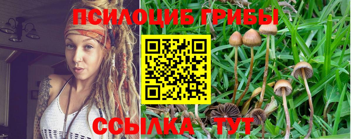 Галлюциногенные грибы прущие грибы  Галлюциногенные грибы мухоморы  Керчь 