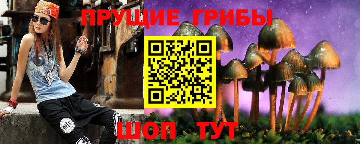 Галлюциногенные грибы прущие грибы  Вход с VPN  Керчь 